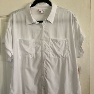 LuLaRoe Amy in WHITE!